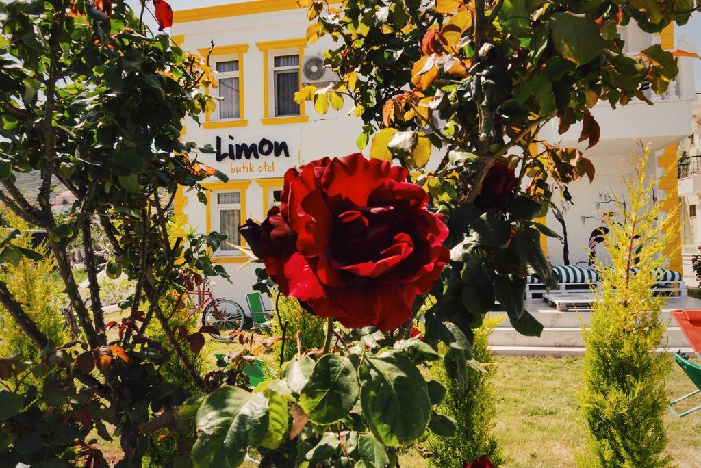 Limon Pansiyon Фоча Экстерьер фото
